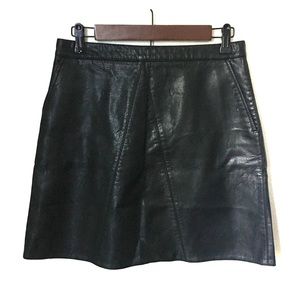 Zara Mini Skirt